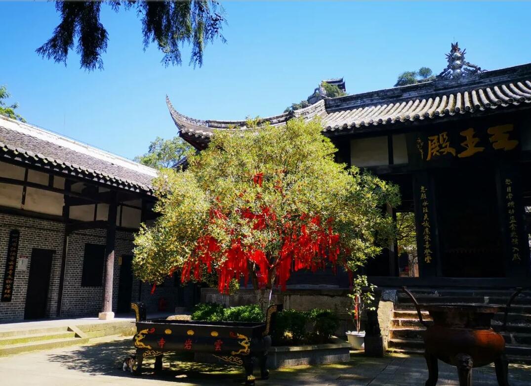 大自然的礼物 | 雨过天晴，这里漫山桂花开，空气里都是甜甜的味道，来一起爬山吧！