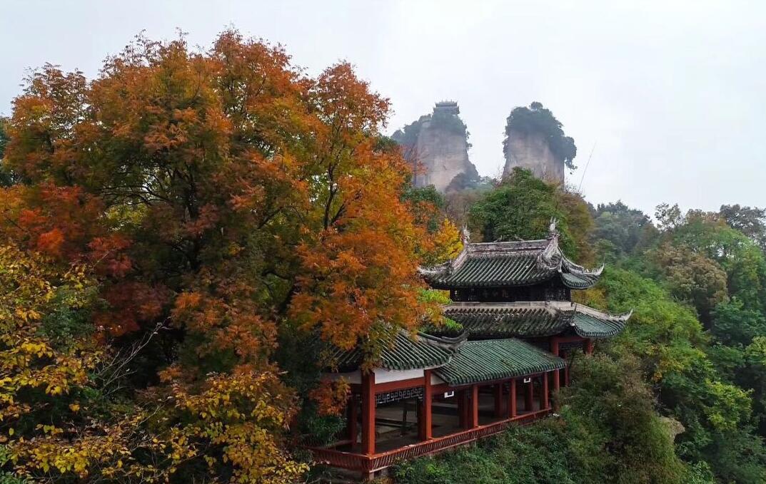 @所有女士，阳春三月窦圌山景区邀您免费来踏春赏花！