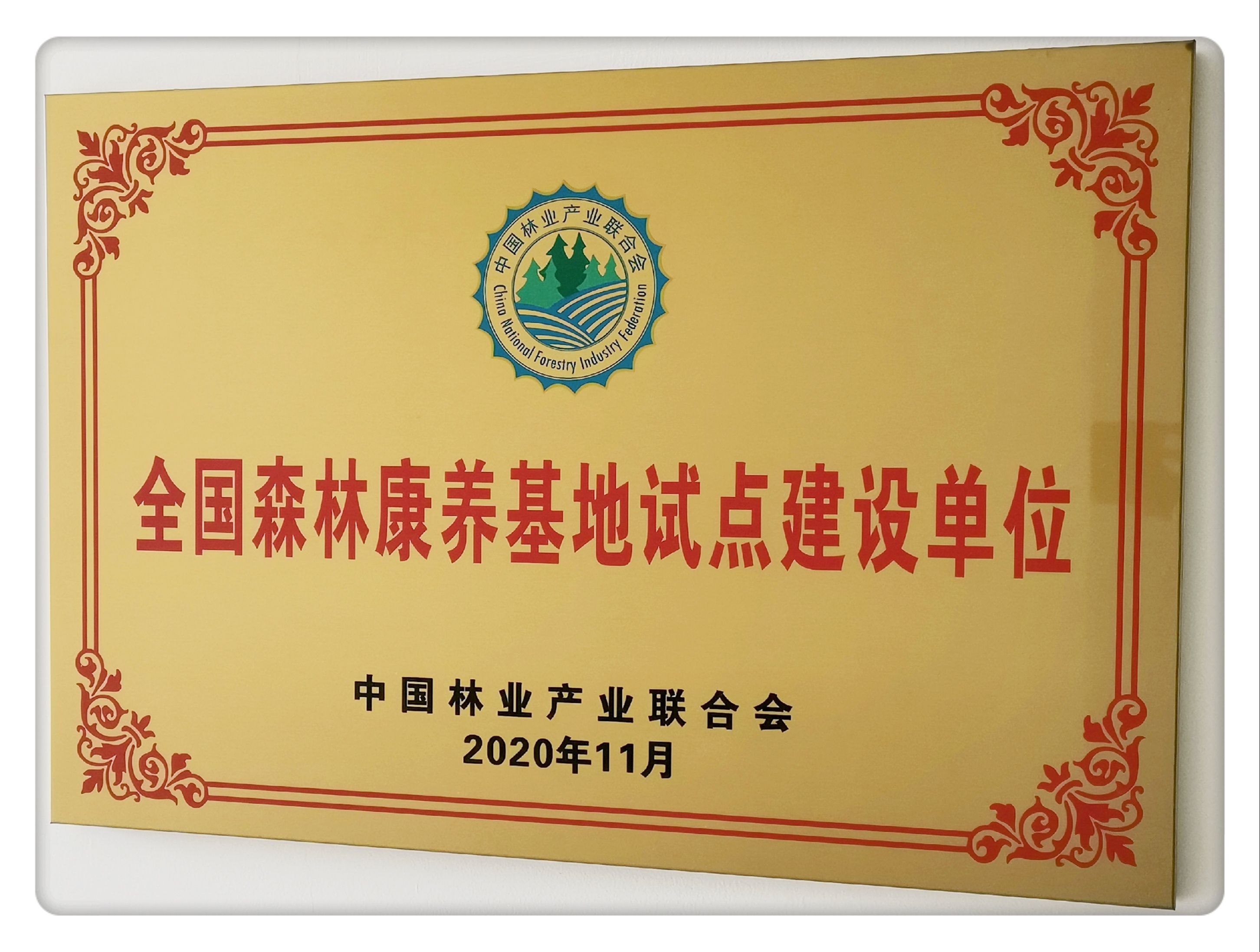 微信图片_20201123165044.jpg